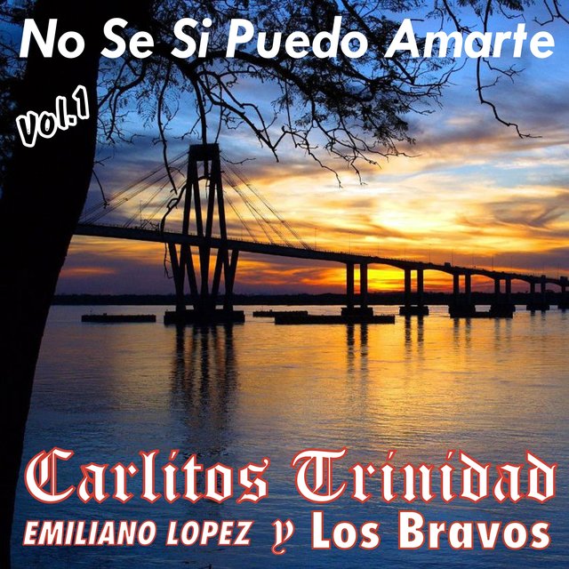 No Se Si Puedo Amarte, Vol. 1