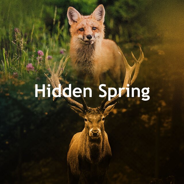 Hidden Spring