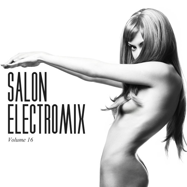 Salon Electromix, Vol. 16