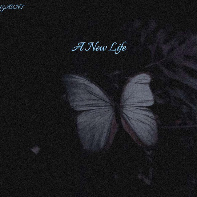 A New Life