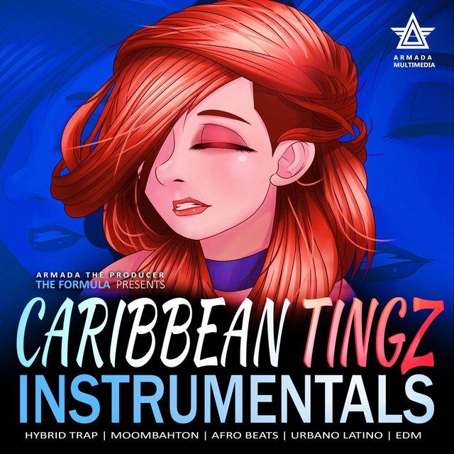 Caribbean Tingz Vol. 1 ((Instrumental)s)
