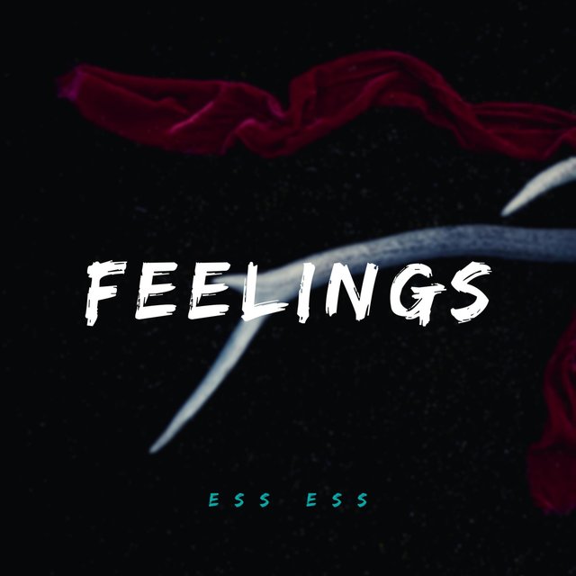 Feelings
