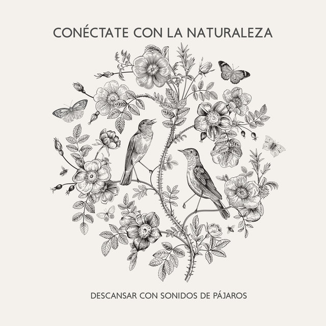 Conéctate con la Naturaleza: Descansar con Sonidos de Pájaros