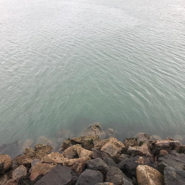 The Feeling of Water