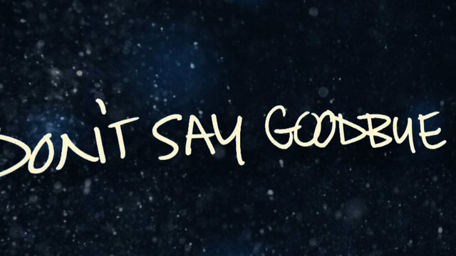 Don't Say Goodbye (Lyric)