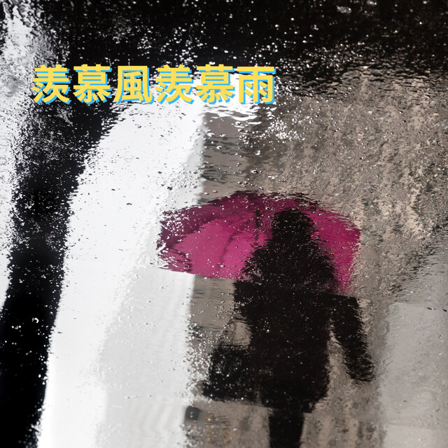 羨慕風羨慕雨