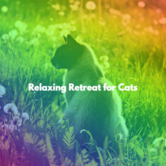 Relaxing Retreat for Cats
