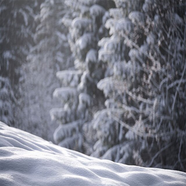 Winter Journey