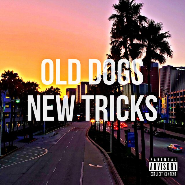 Old Dog New Tricks