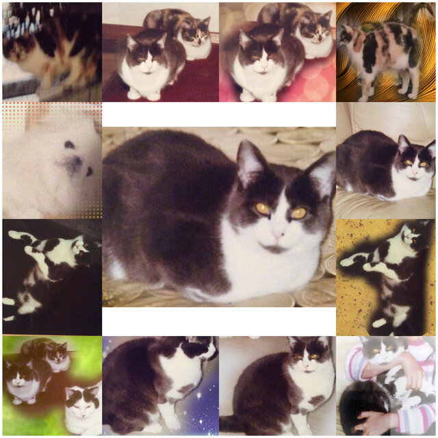My Diary P.S. Anna, Luna