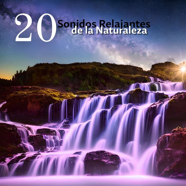 20 Sonidos Relajantes de la Naturaleza: Aguas Calmantes y Ruidos de la Tierra para Mejorar la Meditación y el Sueño