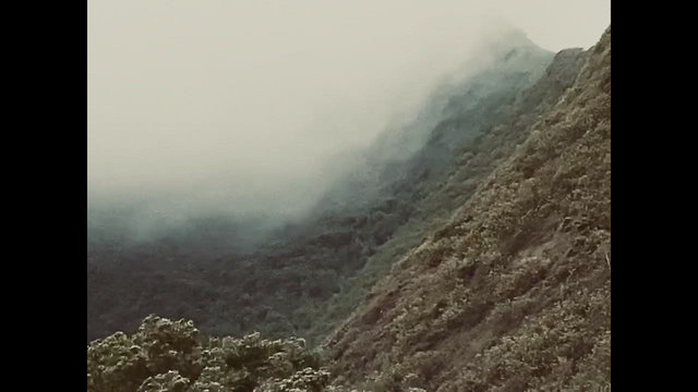 Where Do We Go?