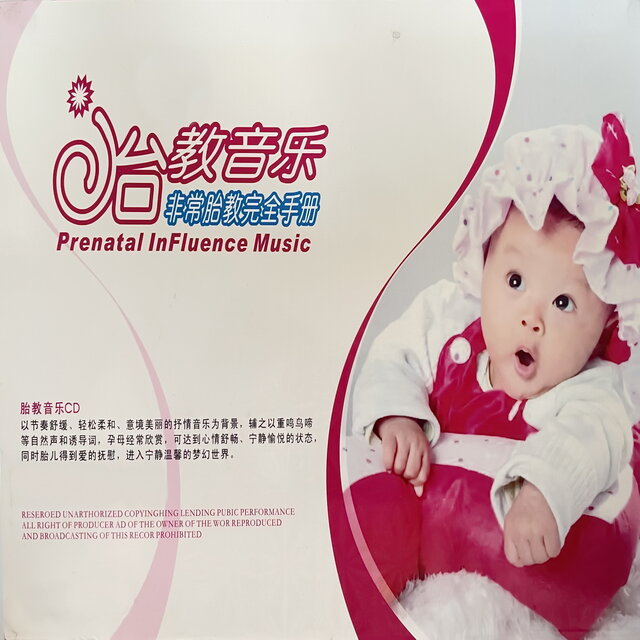 胎教音乐 非常胎教完全手册 1