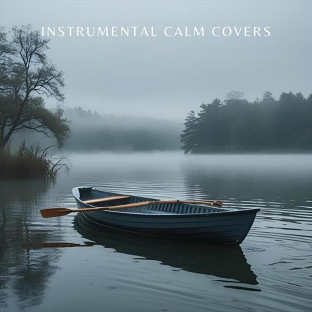 Instrumental Calm Covers