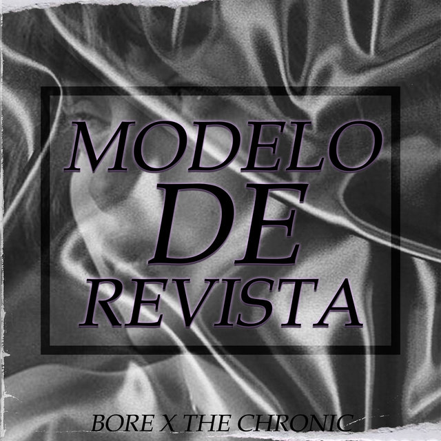 Modelo de Revista