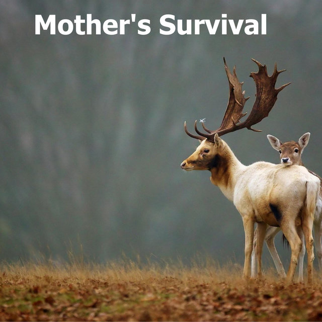 Mother's Survival