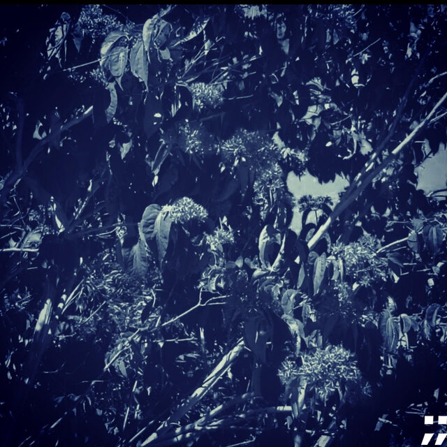 EP 2