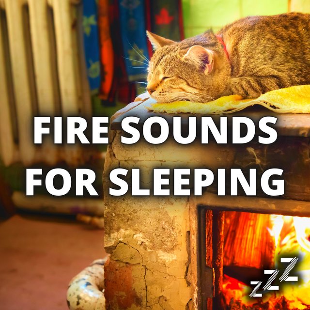Calming Fire Sounds For Dogs and Cats (Loopable CalmingTracks For Pets)