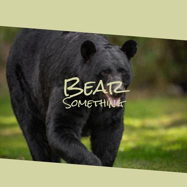 Bear Something