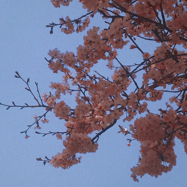 After Tokyo