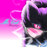 Mr. Cat