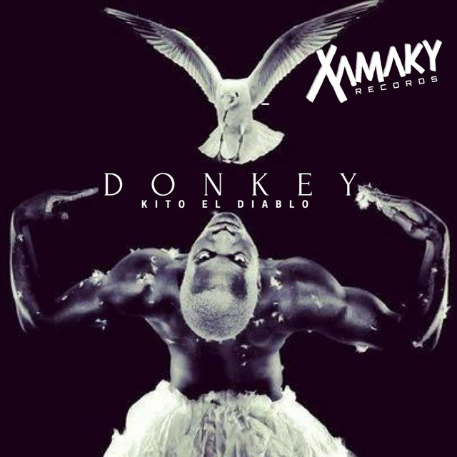 Donkey