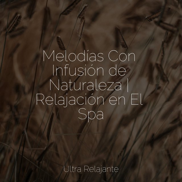 Melodías Con Infusión de Naturaleza | Relajación en El Spa
