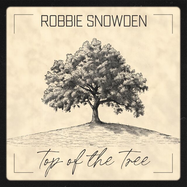 TOP OF THE TREE