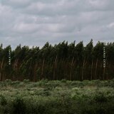 Shared Skies