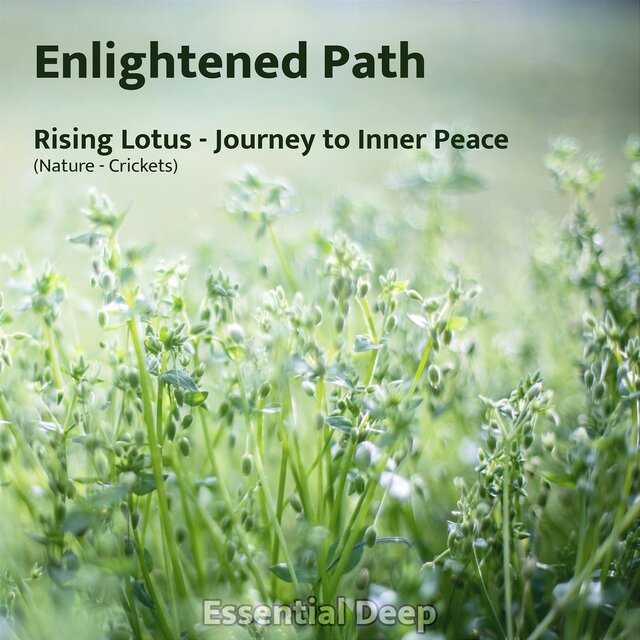 Rising Lotus - Journey to Inner Peace (Nature - Crickets)