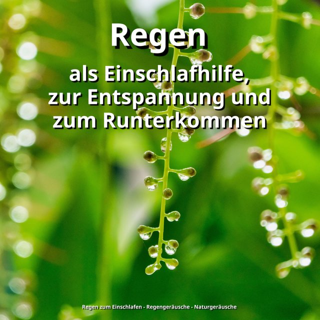Regen als Einschlafhilfe, zur Entspannung und zum Runterkommen