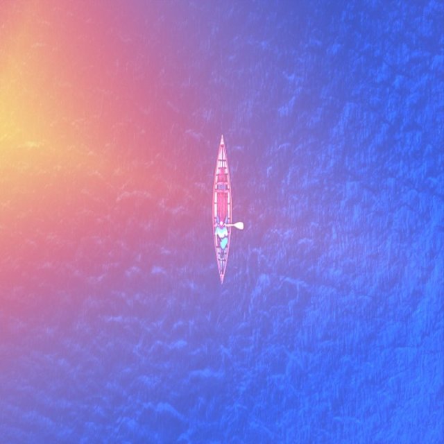 Whale