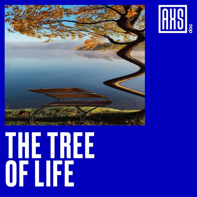 The Tree Of Life