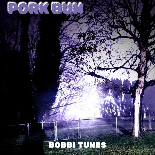 Bobbi Tunes