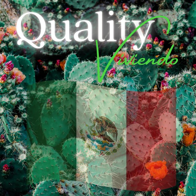 Quality Viviendo