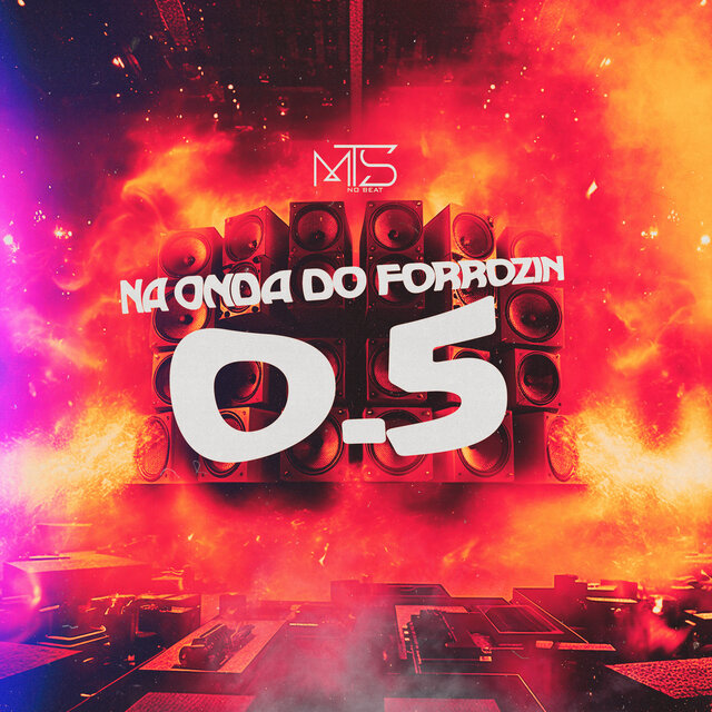Na Onda do Forrózin 0.5