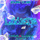 Lucete