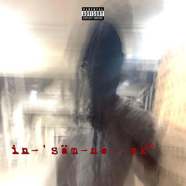 in-‘säm-né-,ak