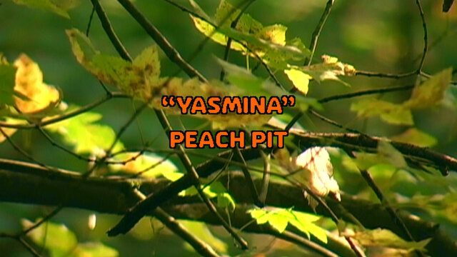 Yasmina (Official Visualizer)