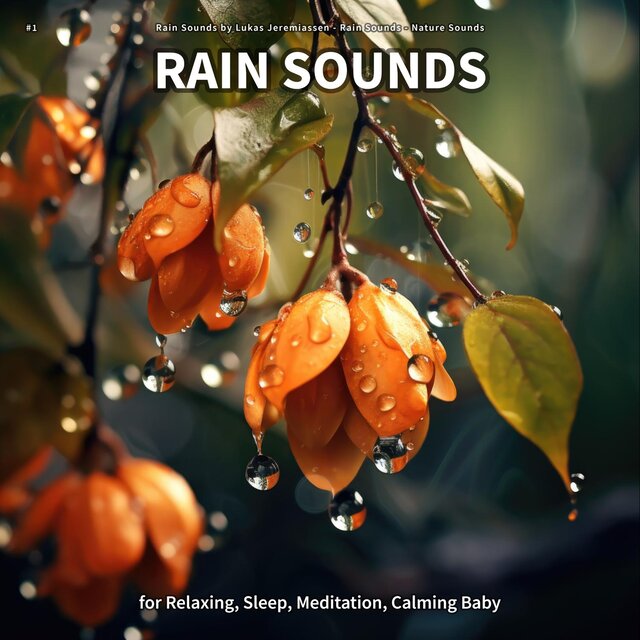 #1 Rain Sounds for Relaxing, Sleep, Meditation, Calming Baby