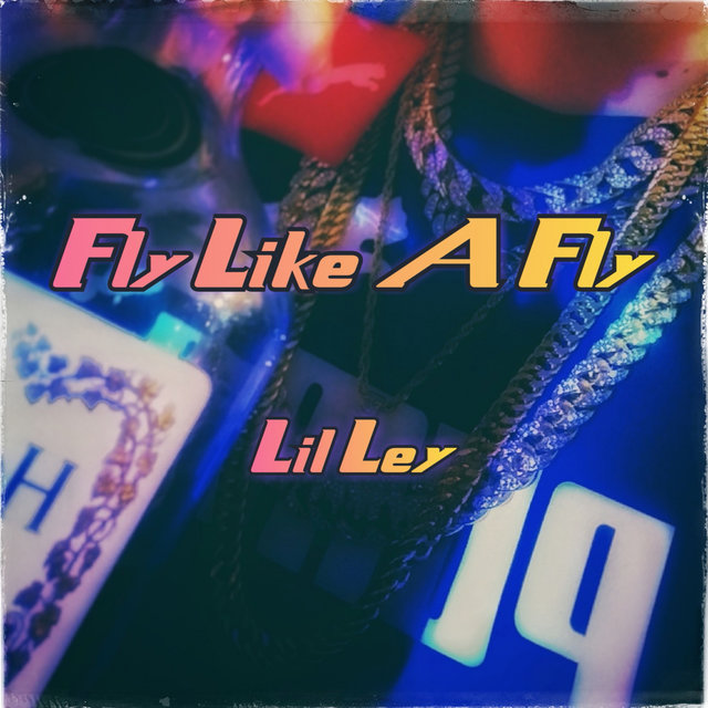 Fly Like A Fly