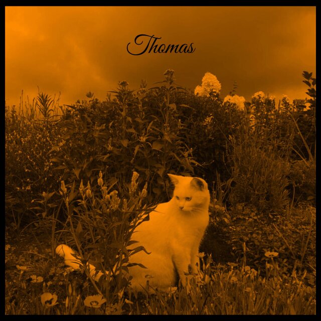 Thomas (2024 release)