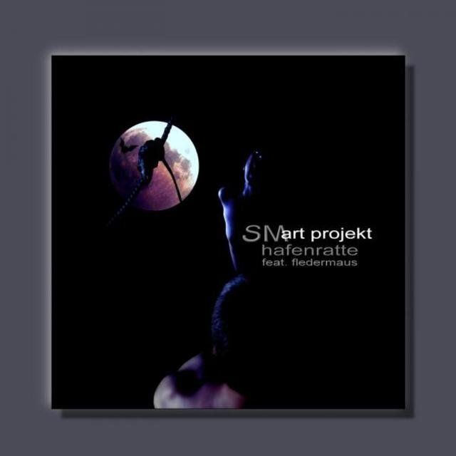 Sm-Art Projekt