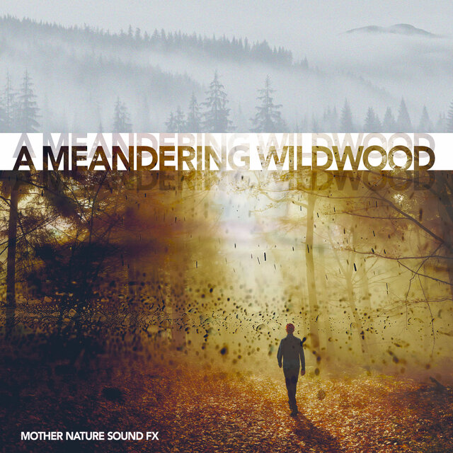A Meandering Wildwood