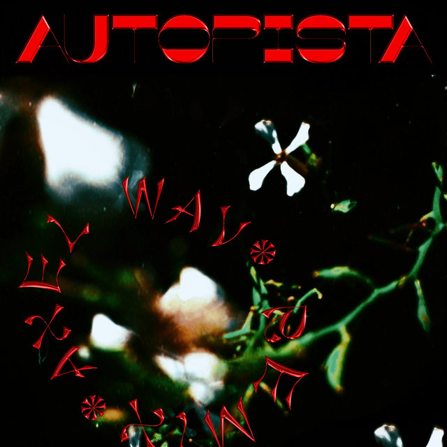 Autopista (Remix)