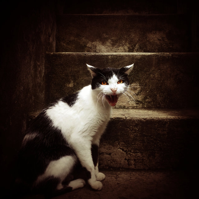 Schrödinger