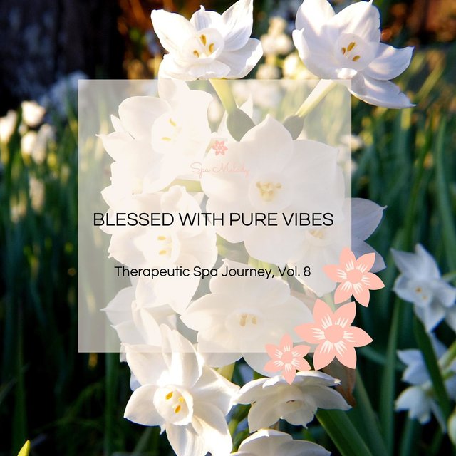 Blessed With Pure Vibes - Therapeutic Spa Journey, Vol. 8