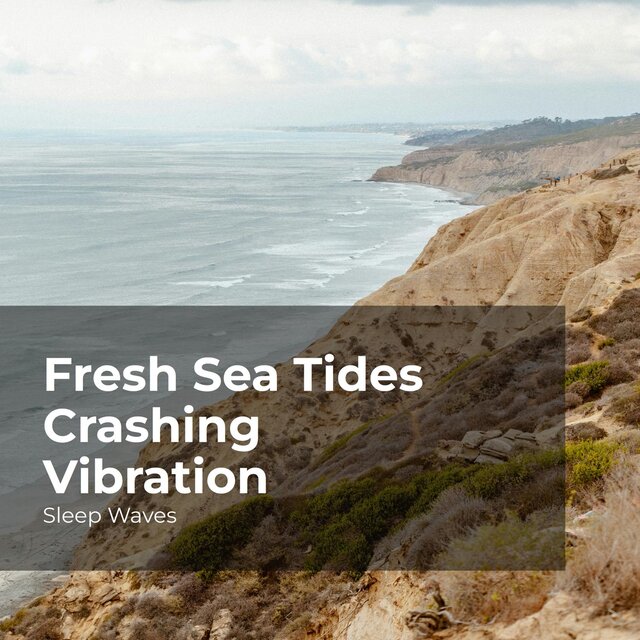 Fresh Sea Tides Crashing Vibration