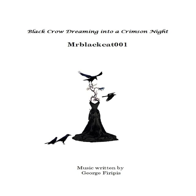 Black Crow Dreaming Into the Night