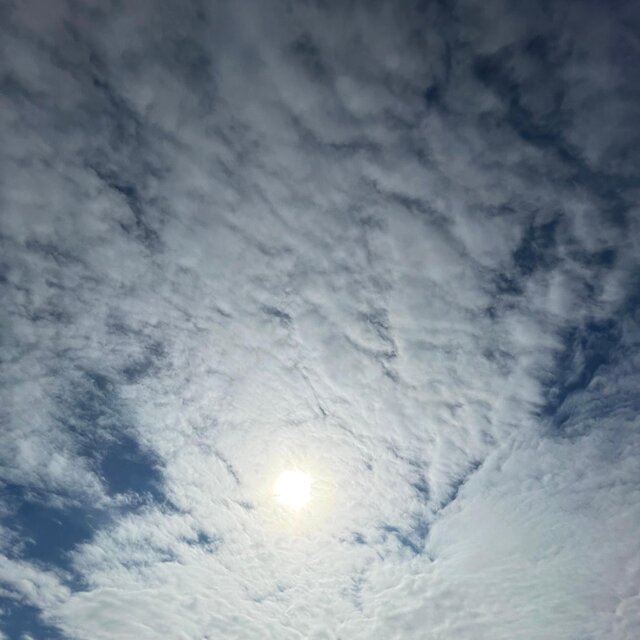 Blue, Blue